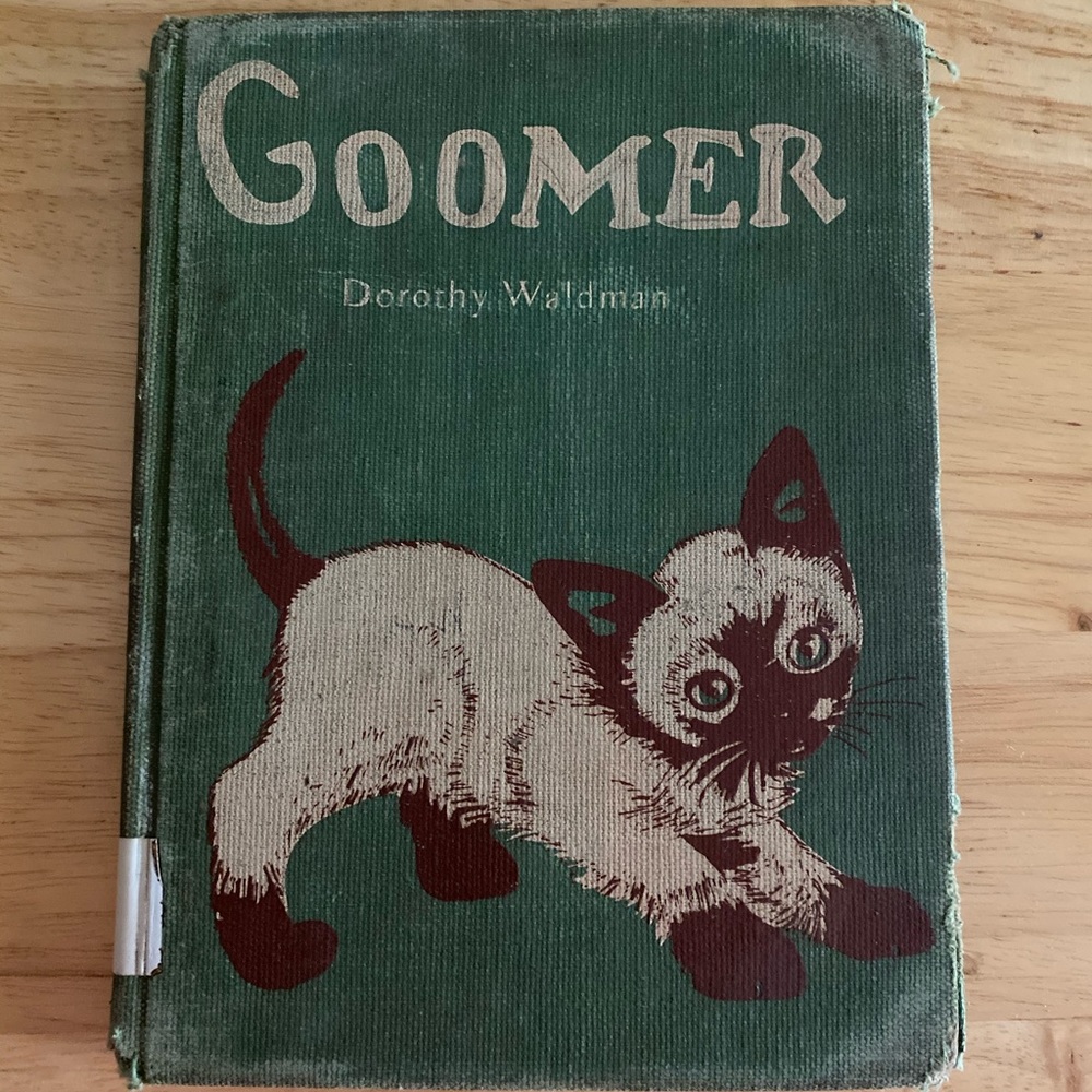 Goomer by Dorothy Waldman